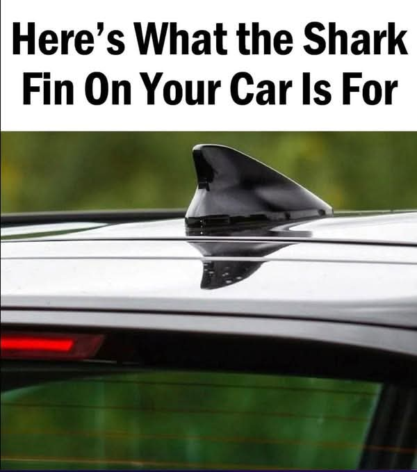 The shark fin on your car serves an important purpose