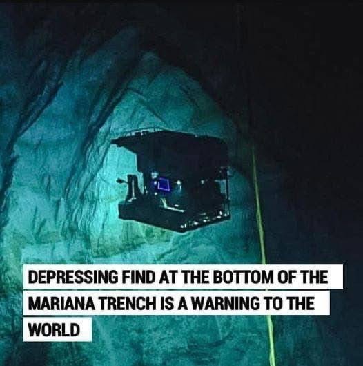 It was discovered 35,000ft deep in the Mariana Trench