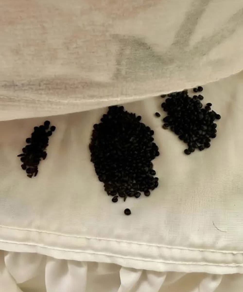 I found this under my mattress—at first I thought they were insect eggs, but the reality really surprised me. That day, I decided to turn the mattress over, just to air it out and clean the sheets. Everything was going as usual until I noticed a strange pile of small black grains in the corner of the bed. They were matte, with a slight sheen, like tiny coals.  I froze. At first, I thought they were insect eggs—maybe cockroaches or some kind of beetle. My heart started beating faster, and I even felt a chill run down my spine. I carefully collected a few grains on a piece of paper and began examining them. They were too hard and dry to be anything alive. But still where did they come from under my mattress? Honestly, I was shocked when I realized what they were.  Have you ever seen anything like this before? I shared the details in the first comment