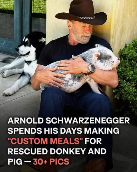 Arnold Schwarzenegger, 78, cherishes life with his very own small-scale petting zoo.⬇️