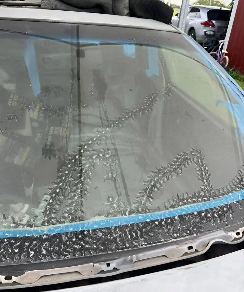 This morning, I discovered strange marks on my car—and I was absolutely terrified when I learned what had caused them. It was the first time I’d ever seen anything so bizarre, and I admit it sent a chill down my spine. I had no idea what animal or object could leave such marks… and the thought that it might be inside the car made me panic. I took a picture and immediately sent it to my brother and a few friends, hoping they could help me figure it out. Then, out of curiosity (and a little worry), I shared the photo on my social media. The reaction was immediate: several people online and a friend quickly told me what it was. And believe me… I wasn’t expecting that response at all.  I’m telling you all about it so you can be vigilant if you leave your car parked outside.  The full story can be found in the first comment