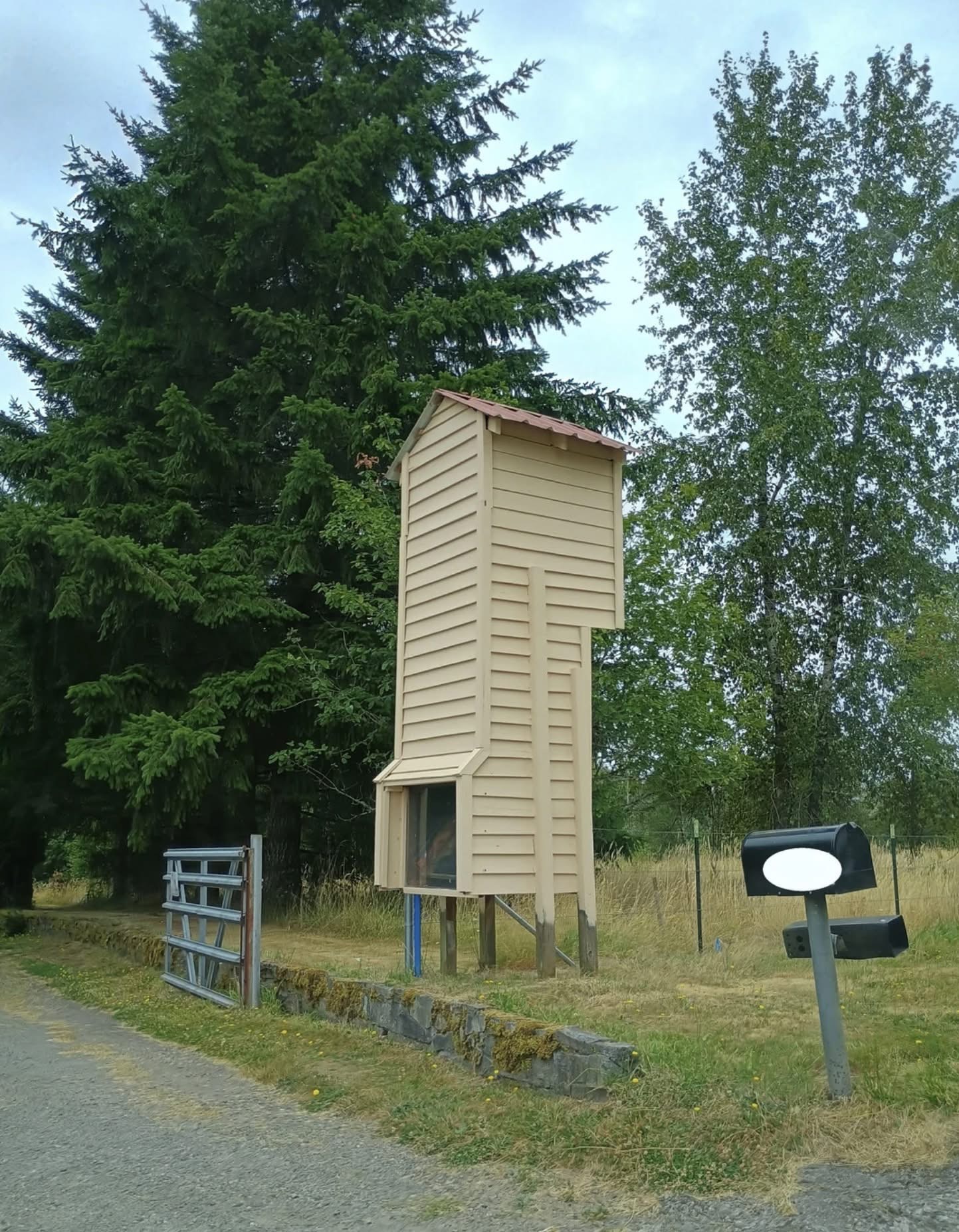 We keep spotting this thing by the side of the road here in Oregon. It sits right at the end of a driveway, with the glass part facing toward it. It’s around 15 feet tall and looks totally empty inside. My wife’s going crazy trying to figure out what it is every time we pass it. Could it be a birdhouse? A deer feeder? Maybe some kind of watchtower? Check the comments for more…⬇️