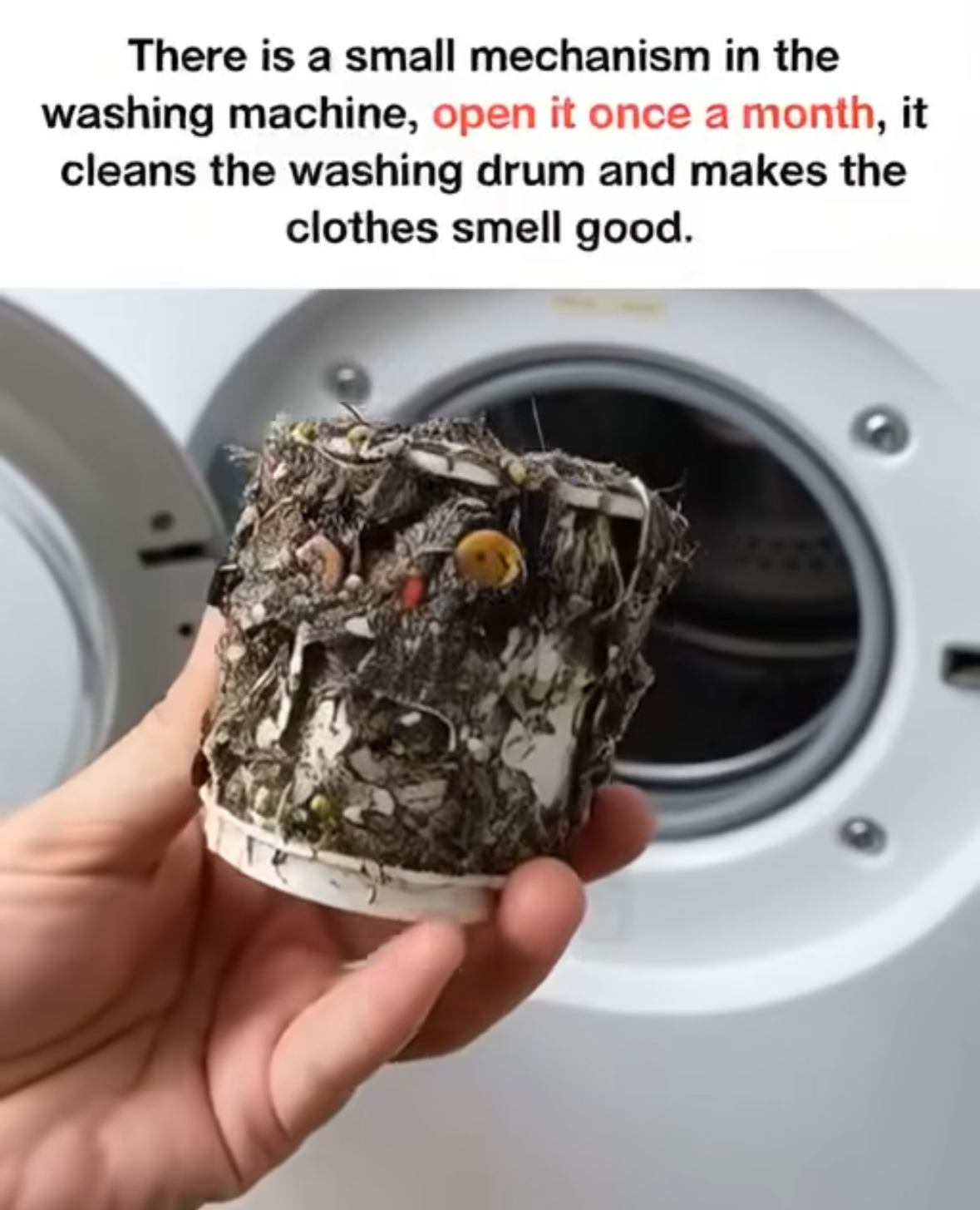 OPEN IT ONCE A MONTH ‼️SEE MORE⤵️