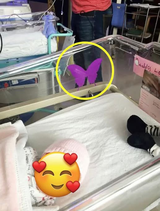 If you see a purple butterfly sticker near a newborn baby, you need to know what it means – Check the comments