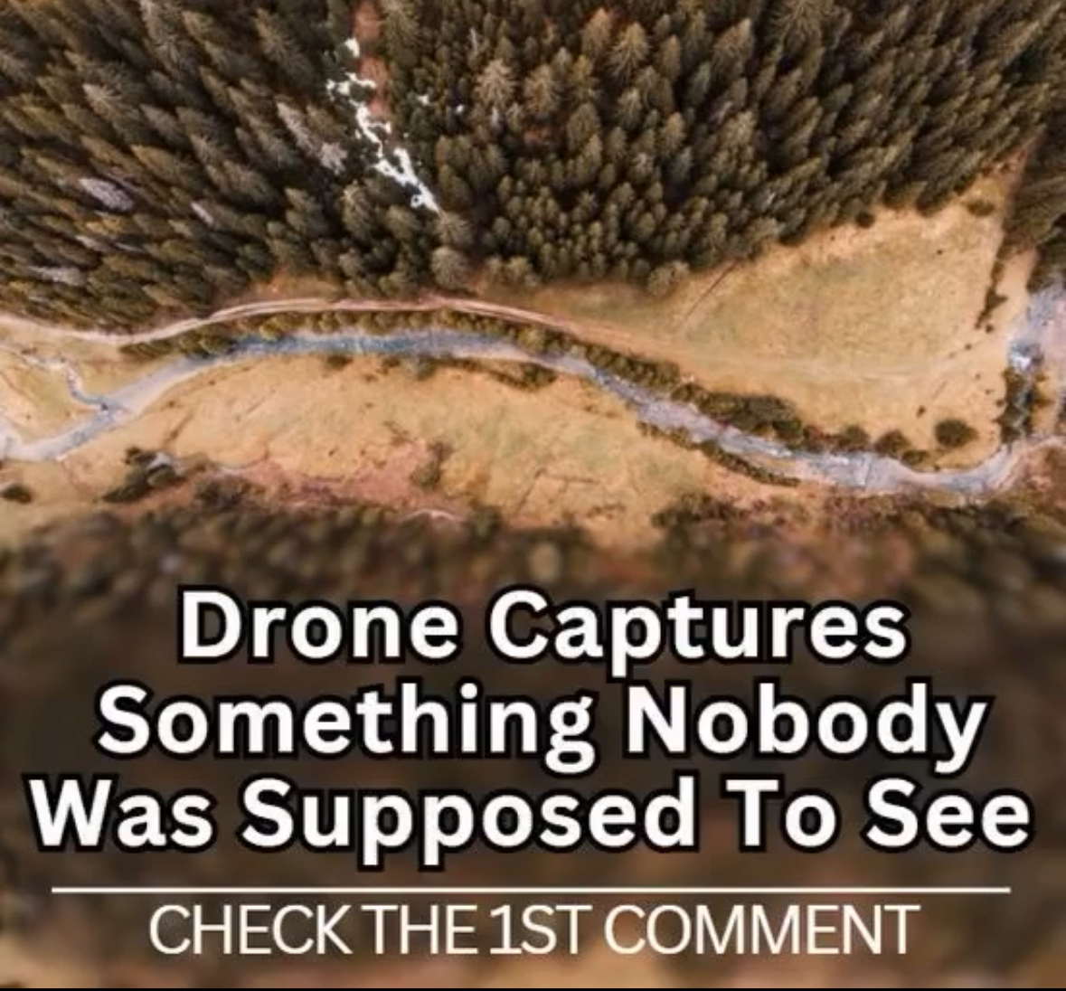 UNBELIEVABLE CAPTURED SCENESVIDEO BELOW