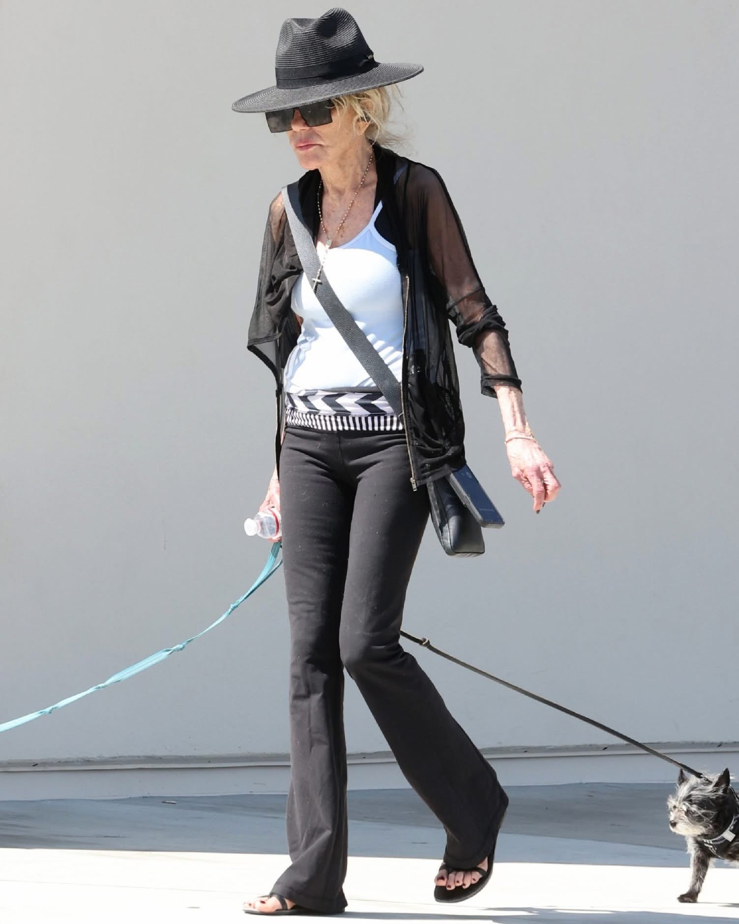 Iconic 70’s actress looks completely unrecognizable walking her dogs   Do you know who is it? Well you will know immediately once you see her young. Check the comments⬇️