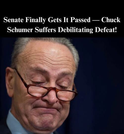 See more in 1st comment⬇️