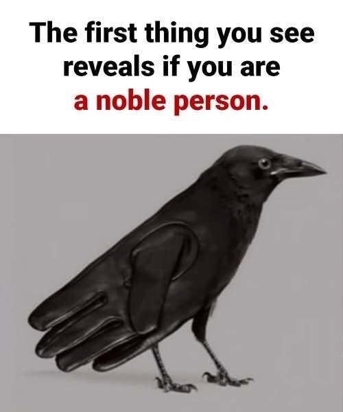 The first thing you see reveals if you are a noble person… SEE MORE