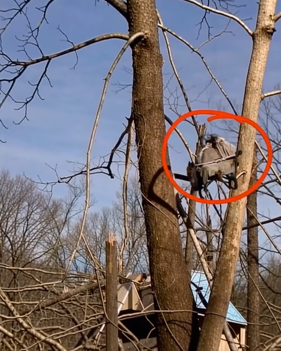 If this is not a miracle, then tell me what it is Details of this shocking true story are in the first comment below