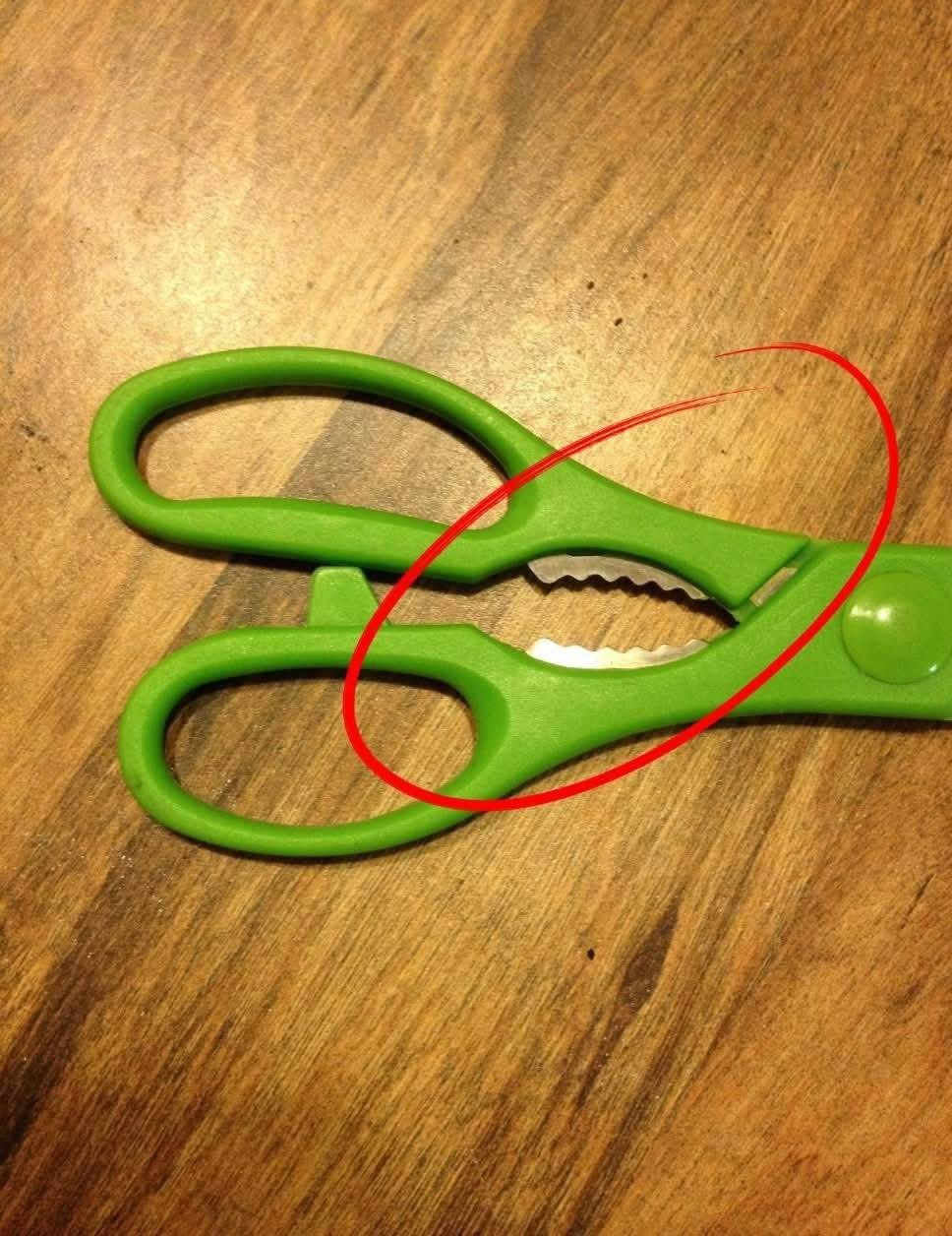 What are these metal teeth between the blades of my kitchen scissors? I’ve already cut my fingers twice on them. I can’t figure out their purpose