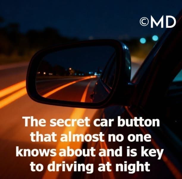 The secret car button that almost no one knows about and is key to driving at nightSEE MORE