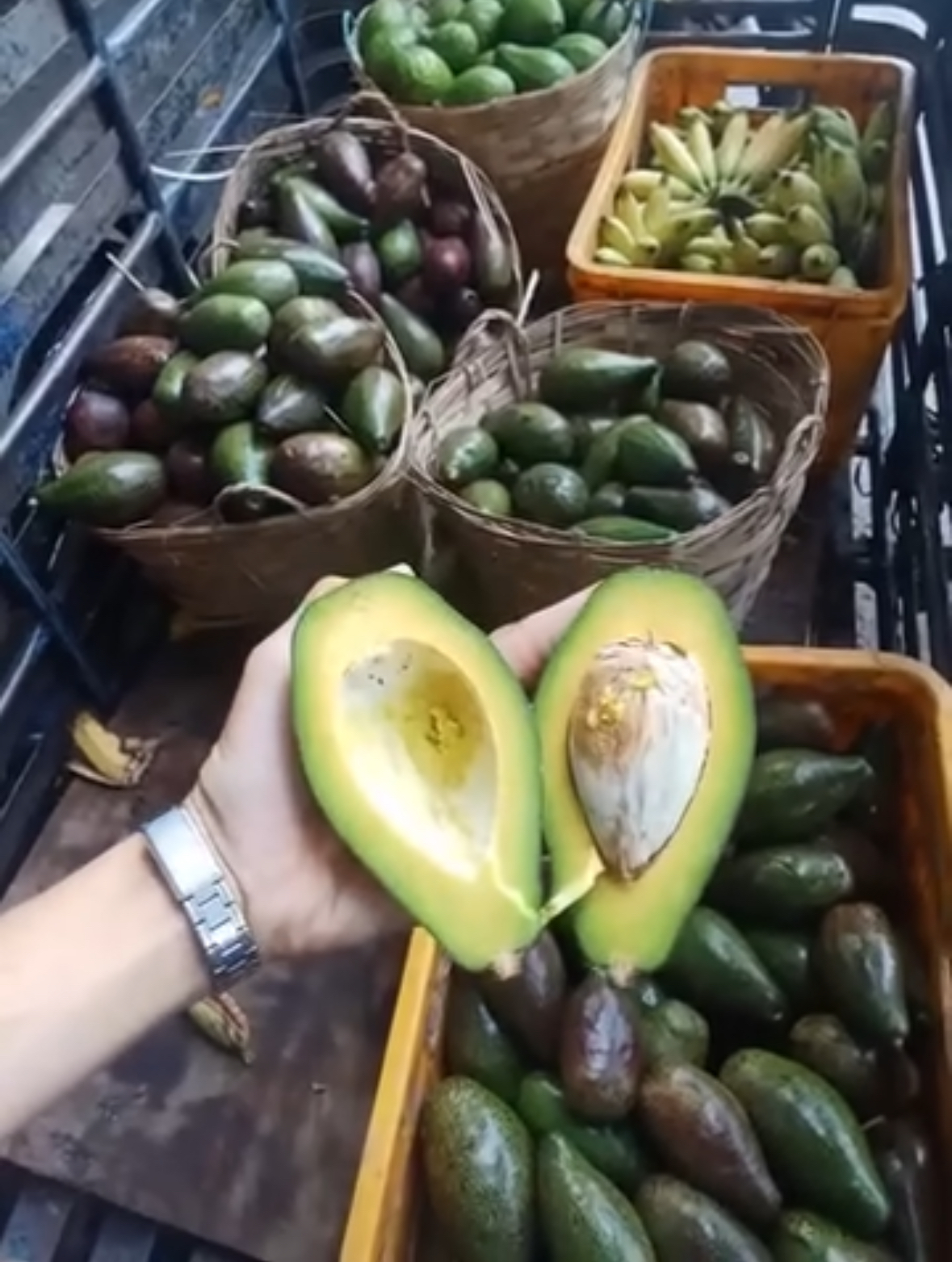 Doctors reveal that eating avocado causes… See more below ⤵