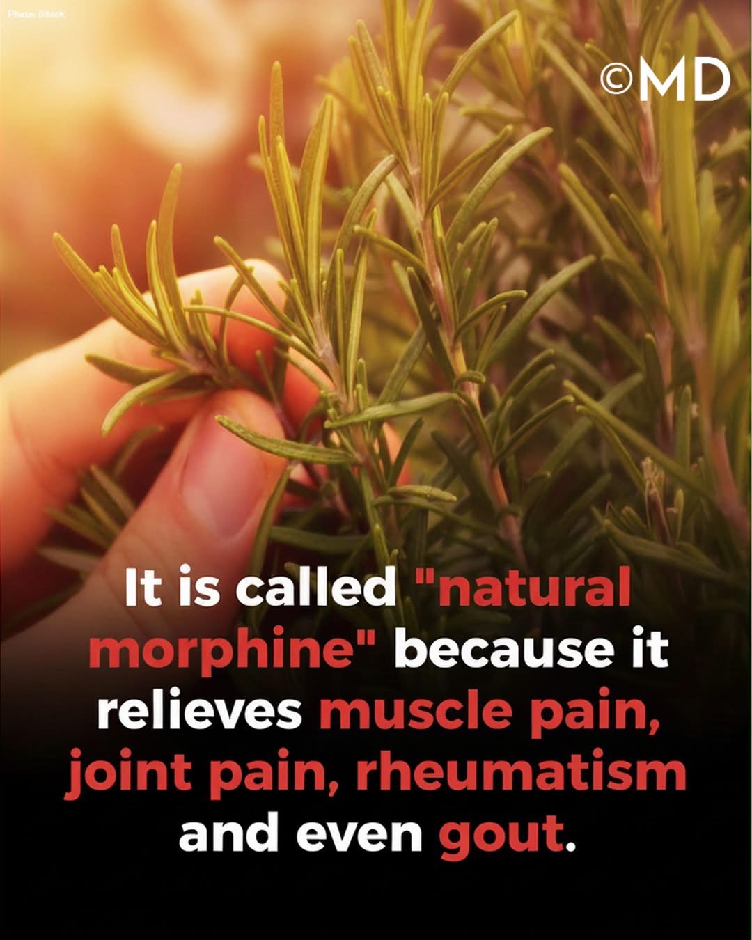 Full story in the first comment