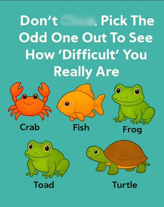Pick The Odd One Out To See How ‘Difficult’ You Really Are. Check 1st comment