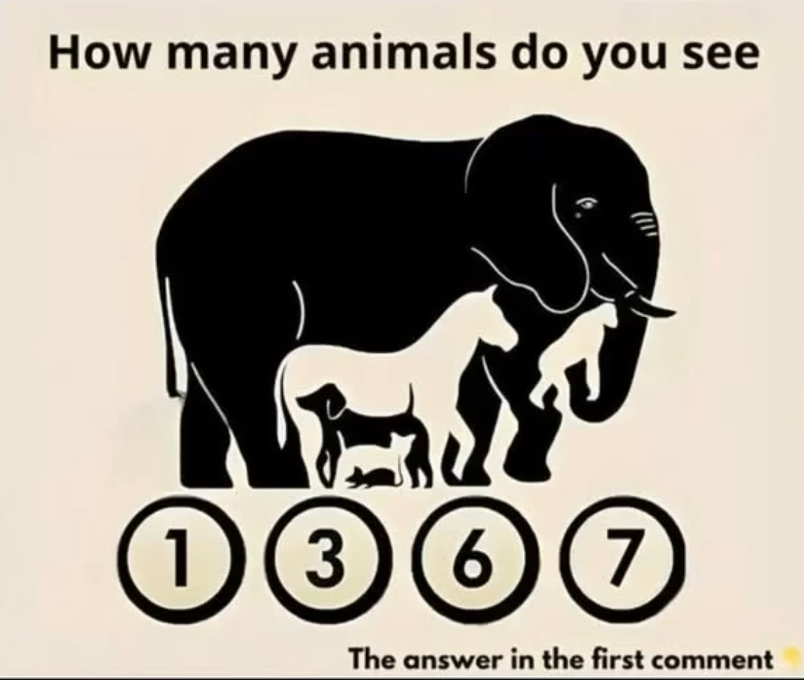 📢 Pay close attention❗🕵‍♂ Check the first comment for the answer 👇