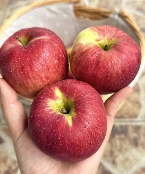 ‼Experts reveal that eating apples causes…. See more👇