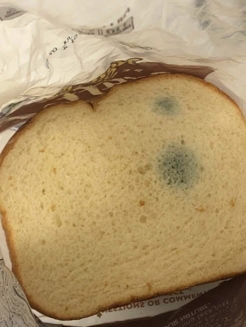 What are these greenish spots on the bread? I’m scared to eat it, let alone let my kids eat it. My mother-in-law says it’s safe and that I shouldn’t throw it away!👀👇 Check comments  👇