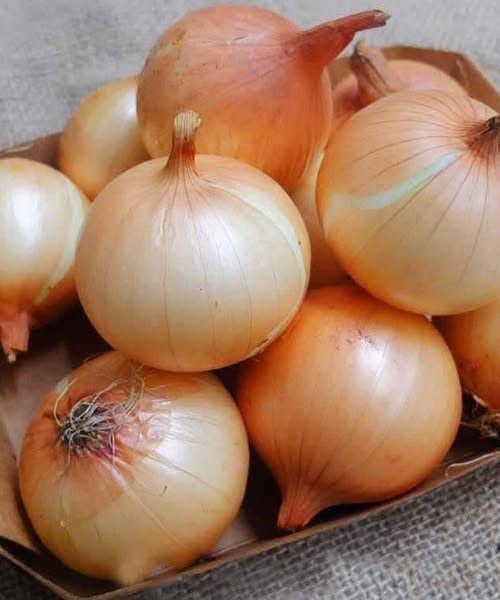 Doctors reveal that eating onion causes … See more 👇