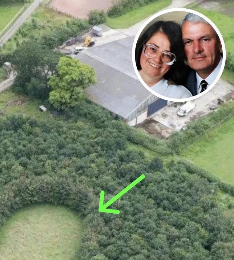 Husband Plants 6,000 Trees To Honor Deceased Wife, 15 Years Later Photos Reveal His True Motive💬👇