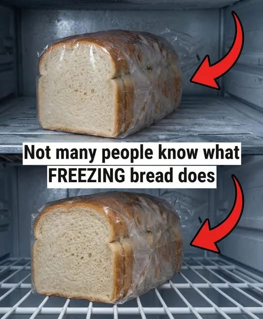 Here’s what happens when bread goes into the freezer.