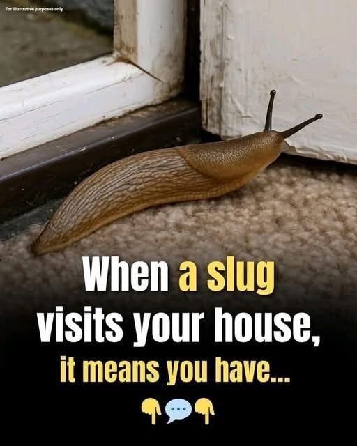 Why Slugs Deserve More Credit Than You Think see more details in comment