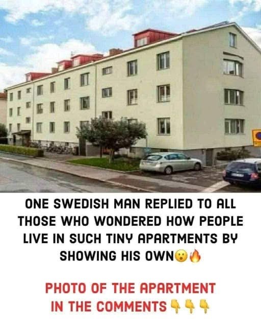 How do Swedish people live in such tiny apartments? 🤔 🧐 This man showed what is in the inside of his tiny apartment and surprised everyone! 🤭 😮