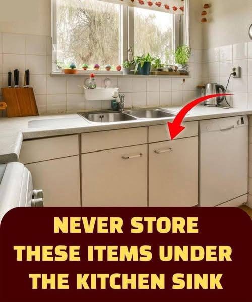 Things You Should Never Store Under Your Kitchen Sink REASON WHY IS IN THE COMMENTS BELOW👇
