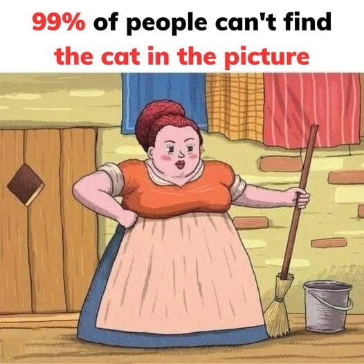 Sat all day still can not find the cat 😤Answer in the Comments ⬇️