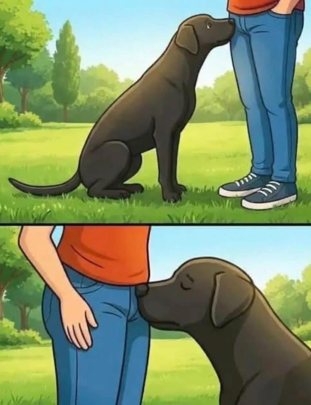 Did you know that if a dog smells your parts it’s po…See below
