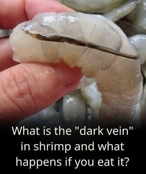 What exactly is the shrimp vein?… See below👇💬.