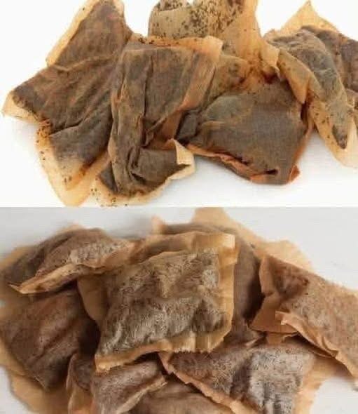 Don’t make the mistake of throwing away tea bags, they are worth their weight in gold used this way check comments 👇🏻