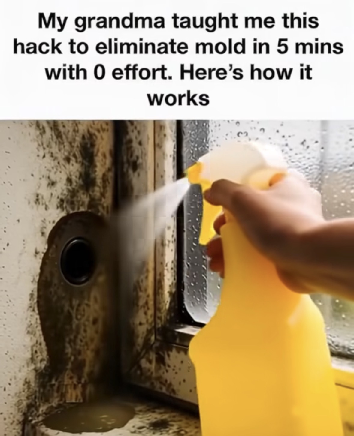 I was completely unaware of that. Thanks!. Full article in 1st comment👇 💬