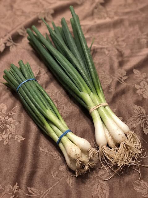 My MIL asked me to get green onions at the grocery store. When I got back, she told me that they were scallions and not green onions, and she wouldn’t use them. She was so rude about it. I thought they were the same thing. What’s the difference between them?⤵️