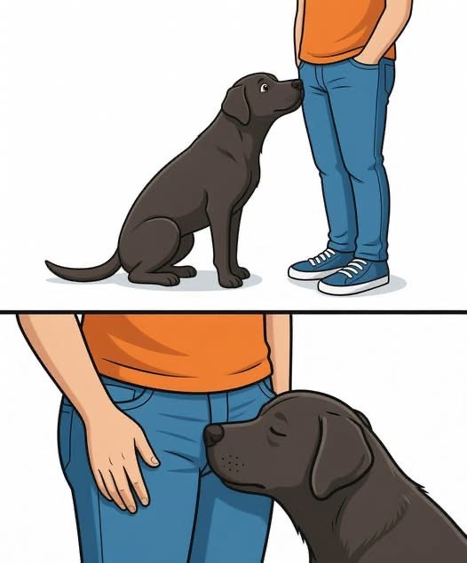 Did you know that if a dog smells your parts it’s po…See below®