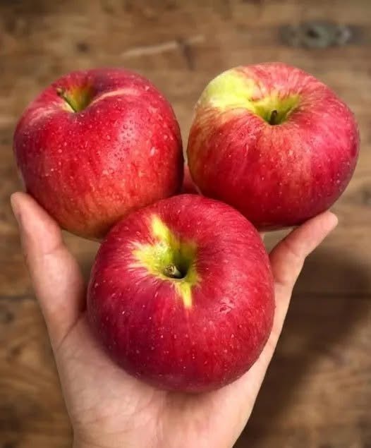 Doctors reveal that eating apples causes…See below