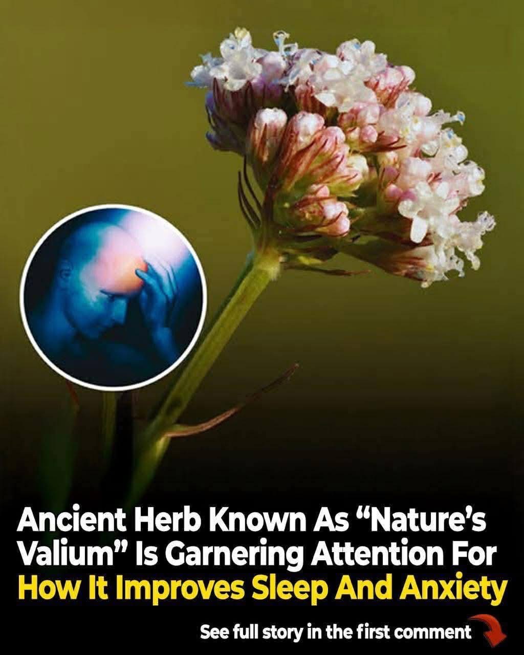 Good to know that…