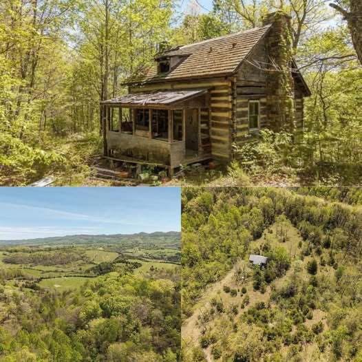 55 Acres Lot Beautiful Rustic Log Cabin $185,000