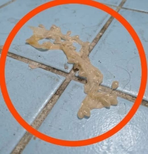 When I went into my girlfriend’s bathroom this evening, I found this on the floor. I’ve been looking at it for a while, but I still can’t figure out what it is. Any ideas? Check the first comment for the answer 👇