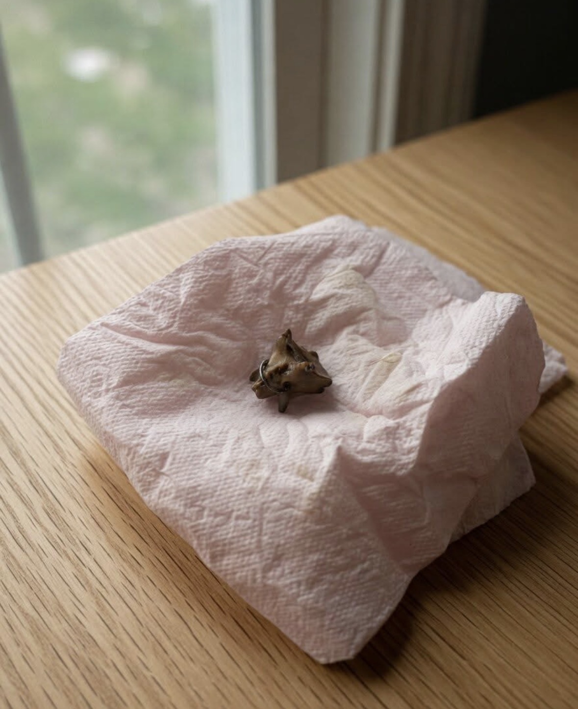 My sister found this on the floor of her store and brought it home. We’ve been sitting here for over an hour staring at it, trying to understand what it is. Does anyone know what this could be? Check the first comment for the answer 👇