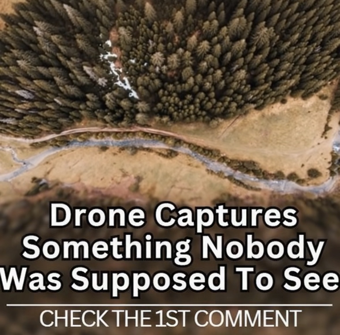 UNBELIEVABLE CAPTURED SCENES😱😱😱VIDEO BELOW 👇