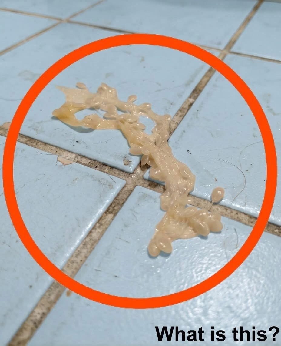 When I went into my girlfriend’s bathroom in the evening, I found this on the floor. I’ve been looking at it for a long time but still can’t figure out what it is. Any ideas? Check the first comment for the answer 👇