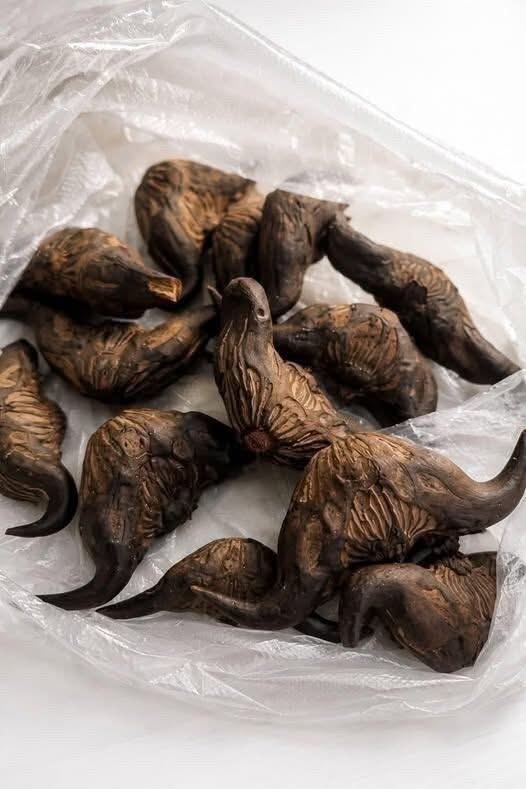 My neighbor gave me a bag of these.anyone know what they are How do you eat them….…See below