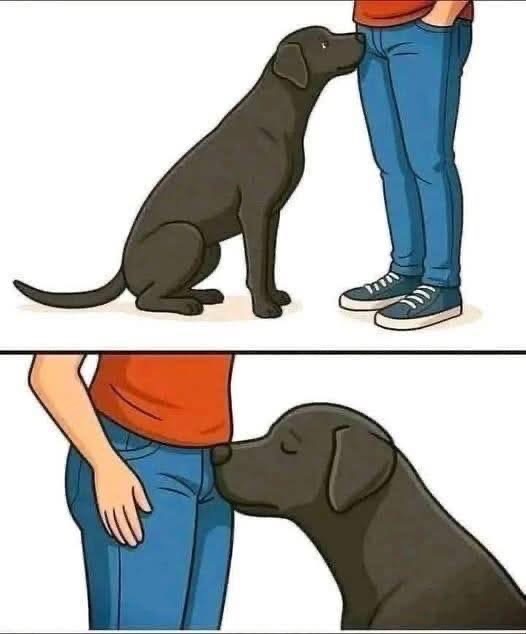 Did you know that if a dog smells your parts it’s po…..See below