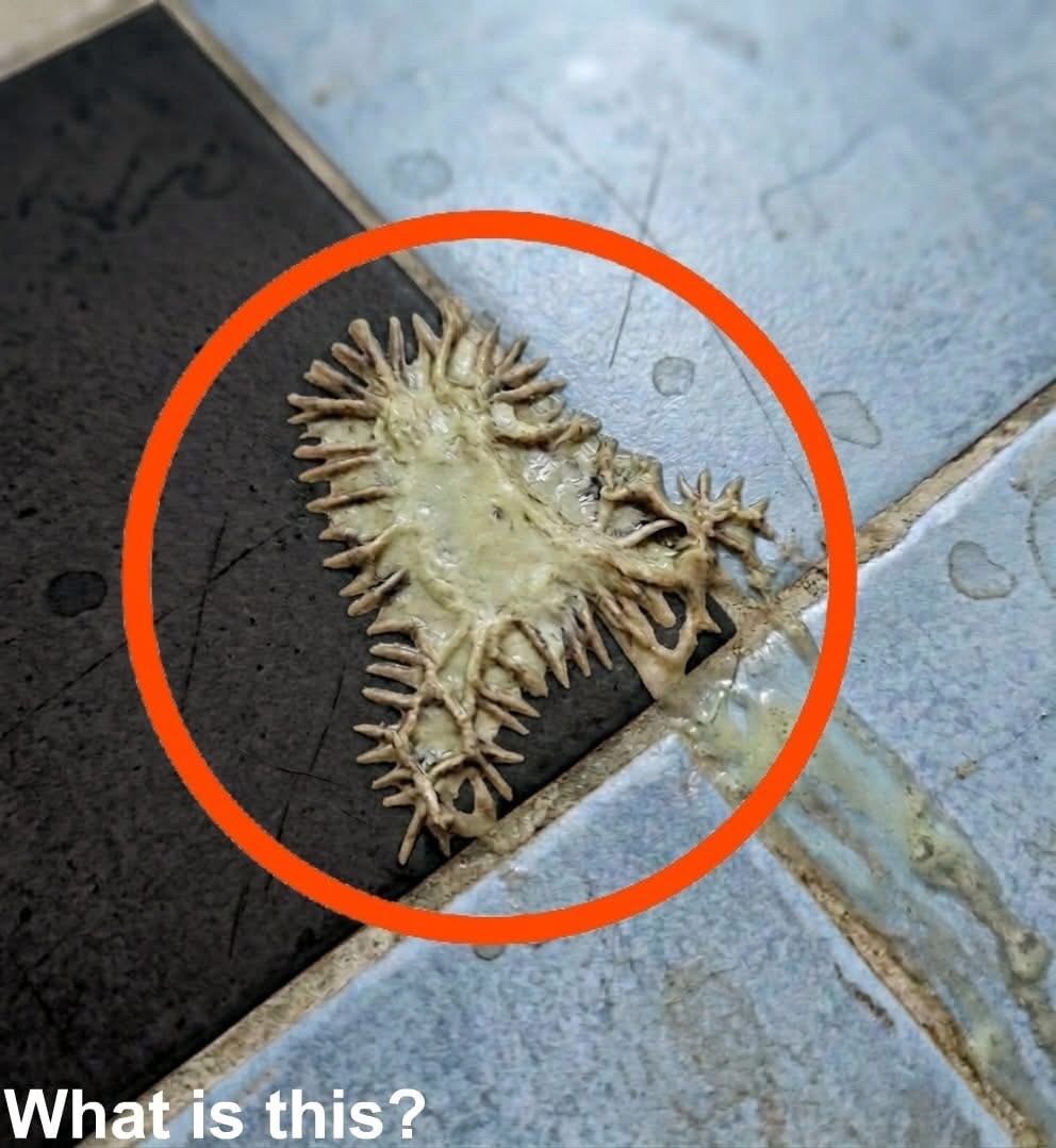 I found this in my girlfriend’s bathroom. We’ve been looking at it for an hour now and still can’t figure out what it is. Does anyone know what it is? Check the first comment for the answer 👇