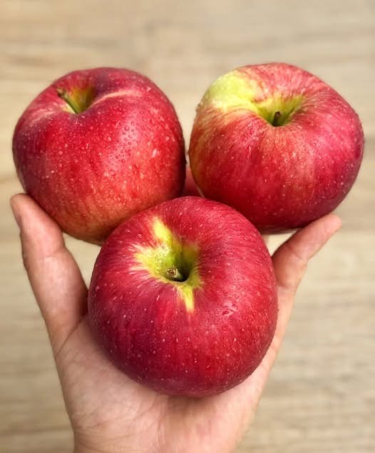 Doctors reveal that eating apples causes…See below