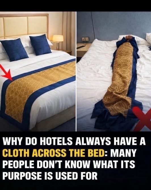 I had no idea 🤔👇