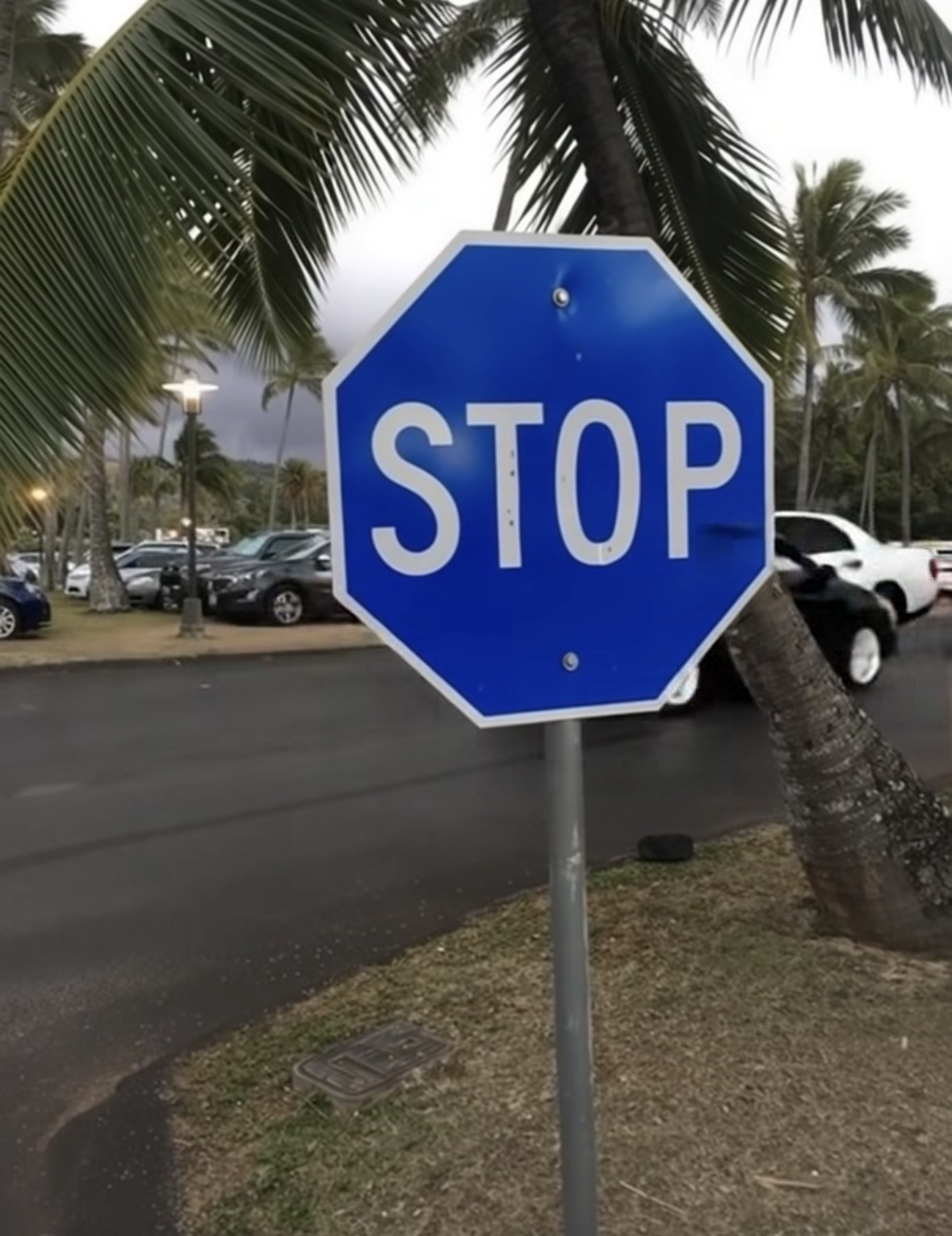 We came across this BLUE stop sign yesterday. Our neighbor told us that, apparently, because it’s blue, it means something else. What does a blue stop sign mean?