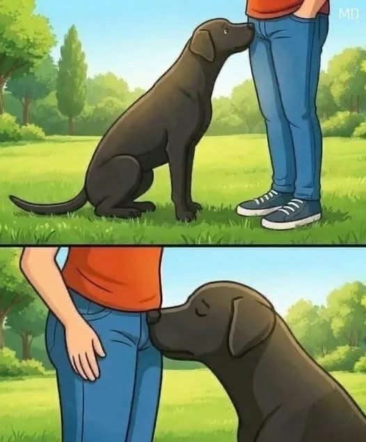Did you know that if a dog smells your parts it’s po…See below