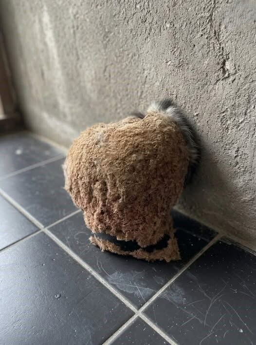 We went on vacation for a week. When we came back, we discovered this in the bathroom. It’s the first time in my life I’ve ever seen something like this, and I honestly have absolutely no idea what it is. Does anyone know what this could be? Check the first comment for the answer 👇