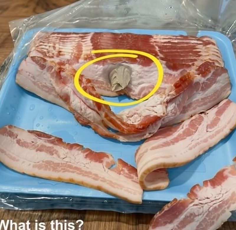 I went to the store and bought some bacon, brought it home to eat. When I opened the package and took a few slices, I found this in the bacon. Honestly, my appetite disappeared instantly. I’ve been sitting in the kitchen for half an hour staring at it, trying to figure out what it is. Does anyone know what this could be? Check the first comment for the answer 👇
